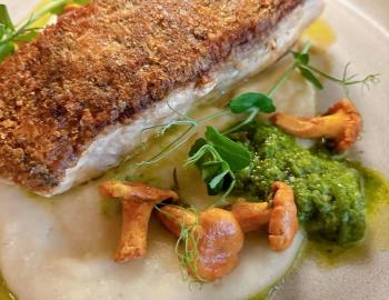 potracrusted striped bass served atop a white puree