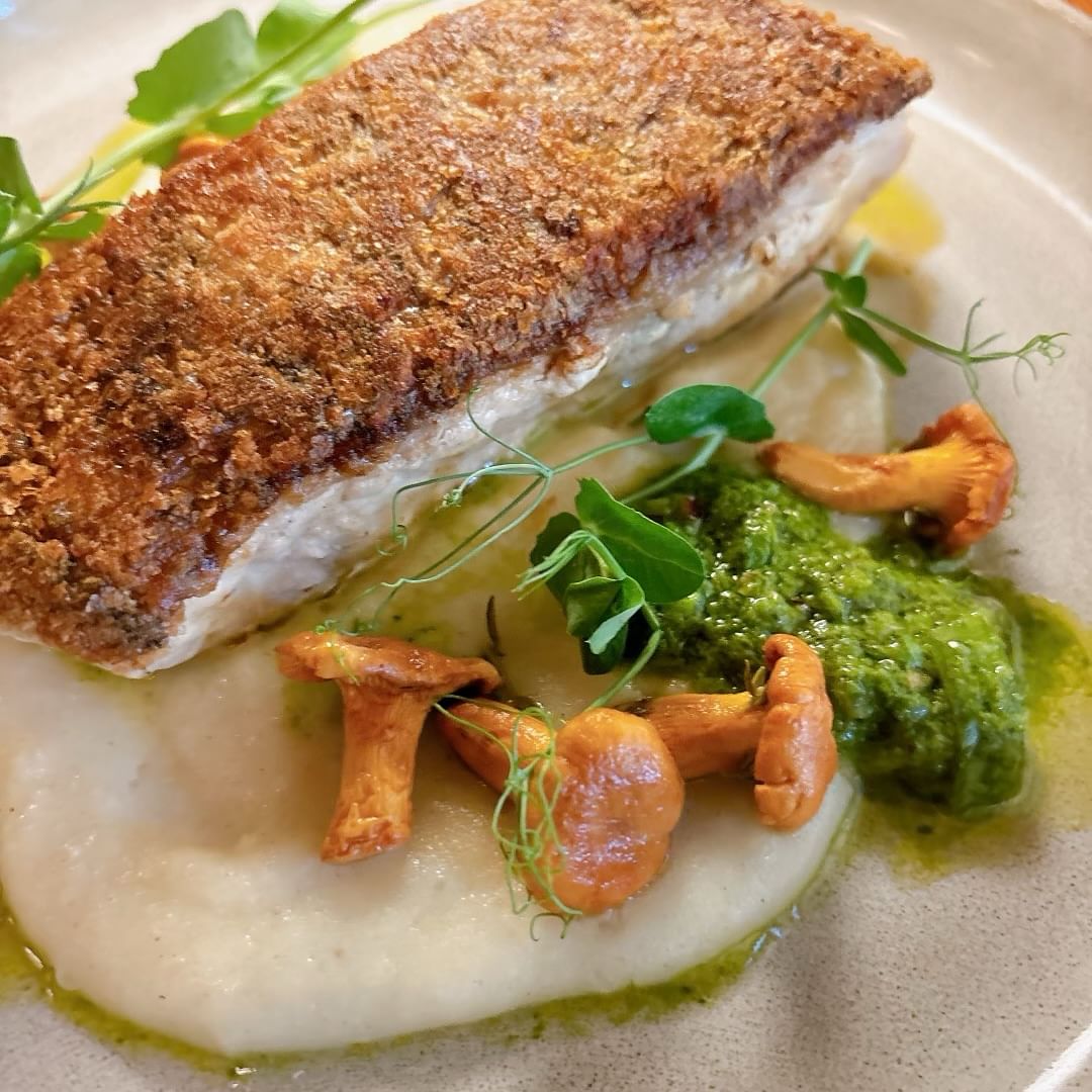 potracrusted striped bass served atop a white puree